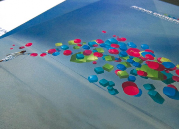 Avenir Entreprises - FSI Régions