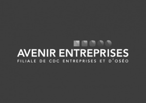 Avenir Entreprises - FSI Régions