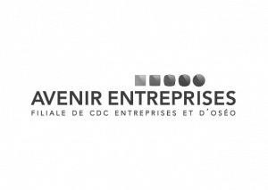 Avenir Entreprises - FSI Régions