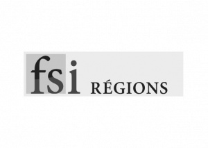 Avenir Entreprises - FSI Régions